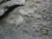 PA210752.webp