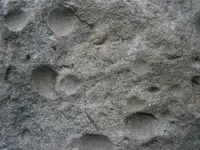 PA210753.webp