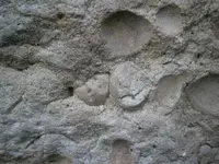 PA210754.webp