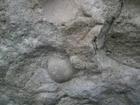 PA210755.webp