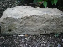 PA210756.webp