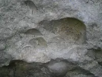 PA210757.webp