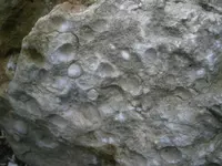 PA210758.webp