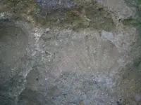 PA210760.webp