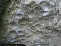 PA210759.webp
