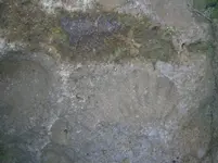PA210762.webp