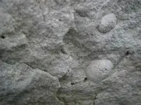 PA210763.webp