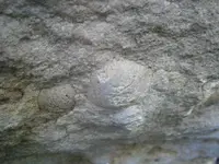 PA210764.webp