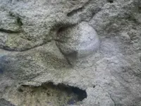 PA210765.webp