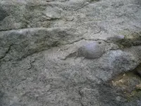 PA210766.webp