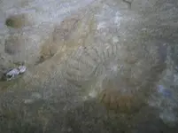 PA210768.webp