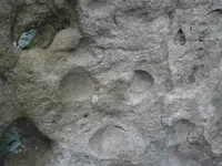 PA210769.webp