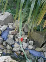 PA210761.webp