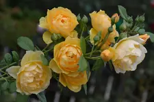 DSC_3865.jpg