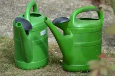 Grün_5034.webp