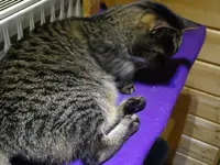 IMGP2081.webp