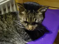 IMGP2082.webp