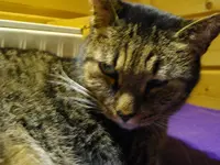 IMGP2084.webp