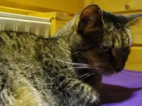 IMGP2086.webp