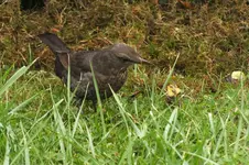DSCF3994.jpg