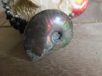 DSCF9112.webp