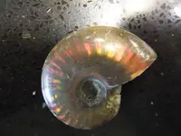 DSCF9120.webp