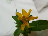10_15_1.webp