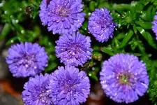 DSC_1678.webp
