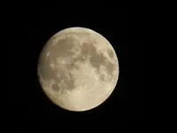 DSCF9151.webp