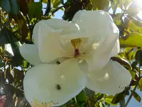 DSCF9283.jpg