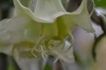 DSC_1673.jpg