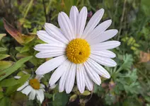 DSCF4064 (2).webp