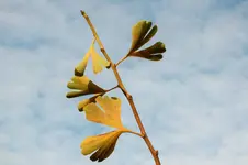 DSCF4062 (3).webp