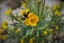 DSCF4059 (2).webp