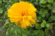 DSCF4066.webp