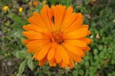 DSCF4067.webp