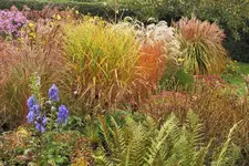 DSCF4080 (2).webp