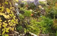 DSCF4079 (2).webp