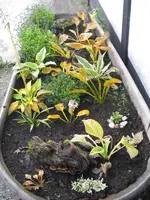 001_600x800.webp
