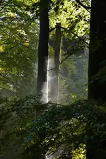 DSC_5901.webp