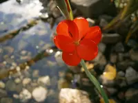 PA230770.webp