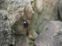 PA230771.webp
