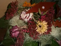 PA230773.webp