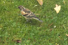 DSCF4111.webp