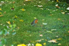 DSCF4093 (2).webp