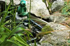 DSCF4077 (2).webp