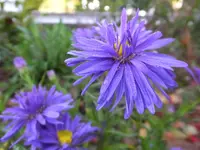 DSCF9148.webp