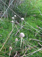 003_600x800.webp
