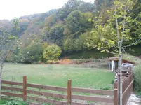 001.webp