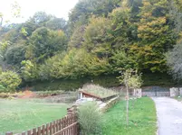 003.webp
